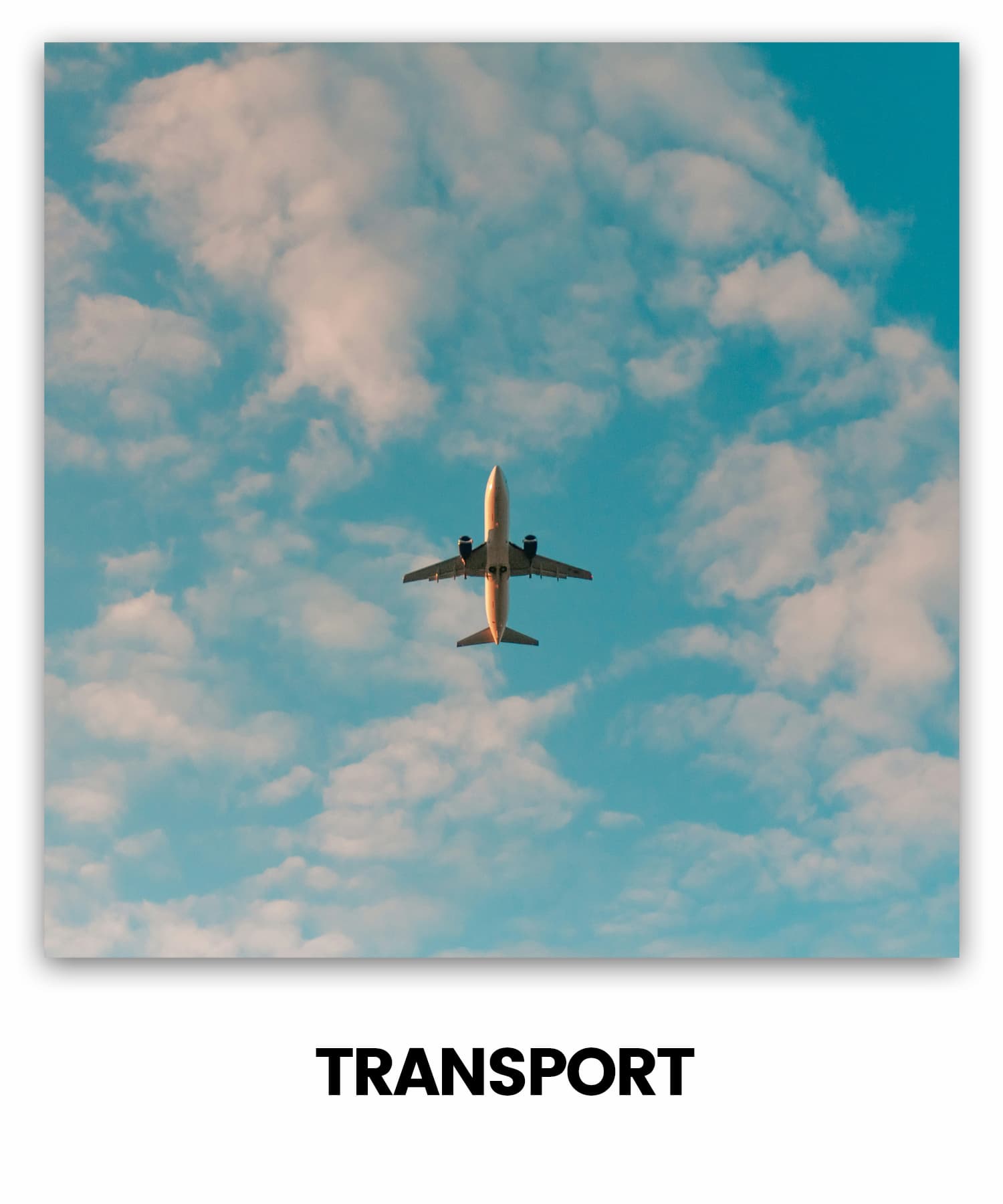TRANSPORT
