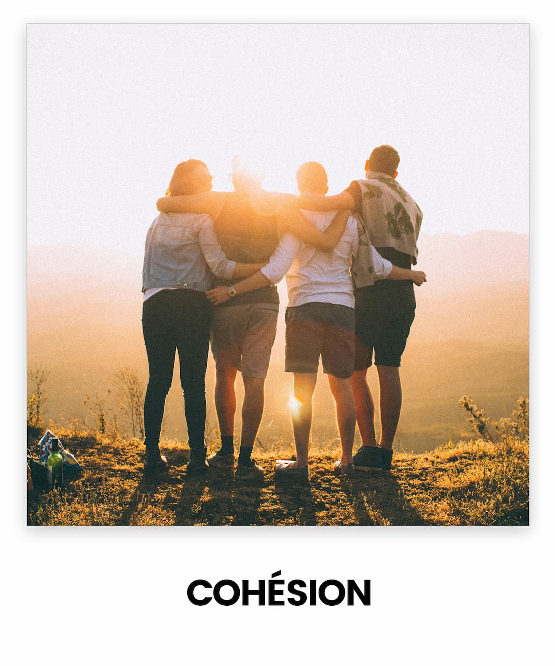 COHESION